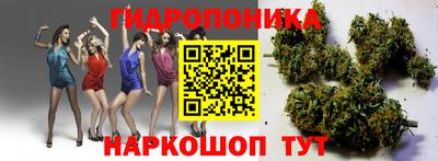 прущие крисы Владивосток