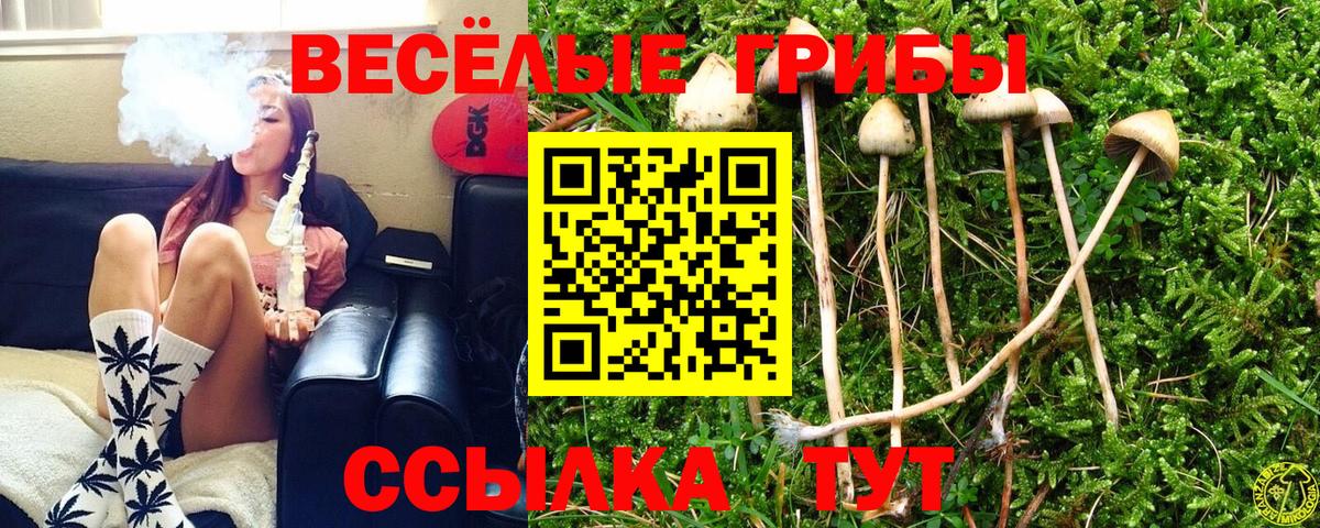 Галлюциногенные грибы Psilocybine cubensis Усинск